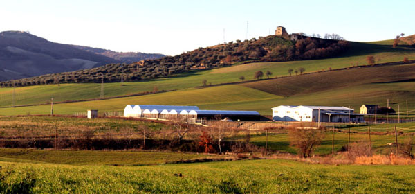L’Azienda