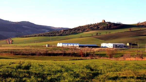 foto-azienda