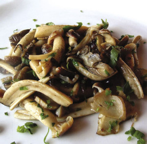 funghi-trifolati2